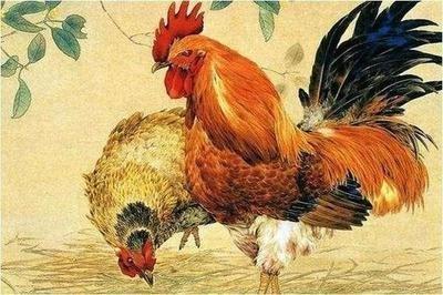 属鸡人2025年运势最好的月份盘点