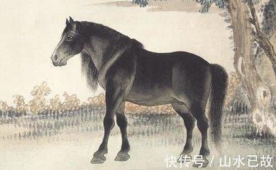 山水清澈2025年3月份生肖马运程