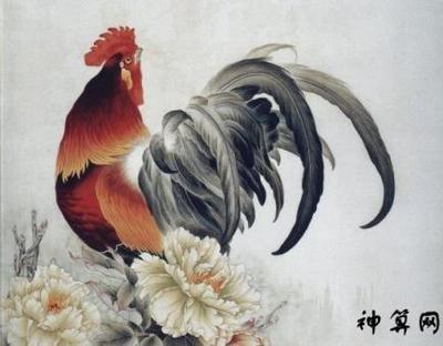 属鸡人2025年运气怎么样 各方面运势好吗