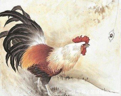 属鸡人2025财运怎么样 生肖鸡的贵人有哪几个