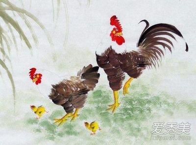 属鸡人出生日的命运 哪几天出生的属鸡人好命
