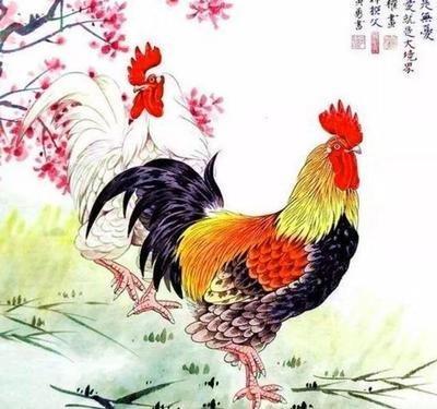 属鸡人有偏财运吗 属鸡的哪个时候出生偏财运好