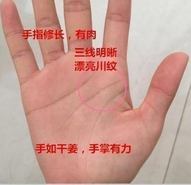 川字手纹的女人命运怎么样 川字纹的女人会幸福吗