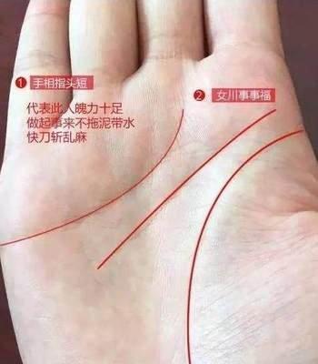 川字掌女人的命运怎样 女人川字掌好吗