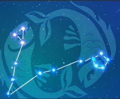 张盛舒2025年5月双鱼座运势精华版