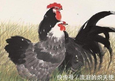 属鸡农历一月出生的人 和家人同事关系如何