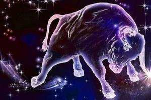 张盛舒2026年6月金牛座运势精华版