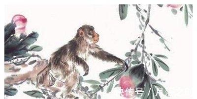 张盛舒2025年7月生肖猴运势完整版