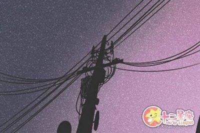 张盛舒2025年7月生肖虎运势完整版