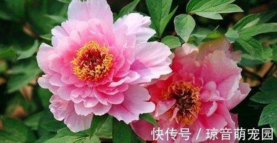 工作中最爱较真的生肖 任何细节都不会放过 工作中最爱较真的生肖 任何细节都不会放过