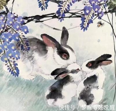 工作中的属兔人会因为哪些事情而不开心