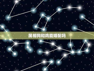 属鸡和什么属相不合 合作不能选的生肖