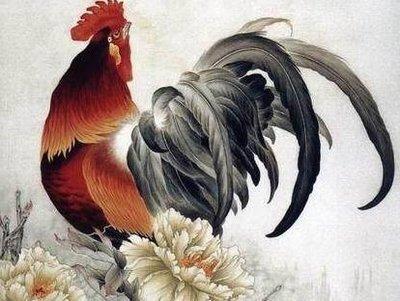 属鸡和什么属相匹配 哪些生肖很配属鸡人