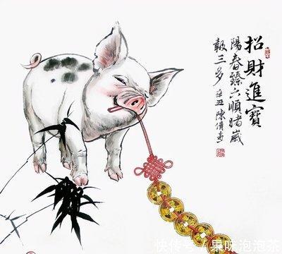 张盛舒2025年9月生肖猪运势精华版