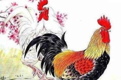 属鸡和什么属相最配，与属鸡最配的属相有哪些