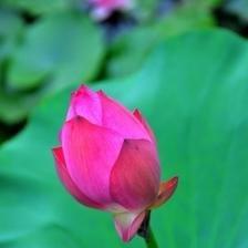 工作迎来突破口 获贵人相助 财运回升的三大生肖