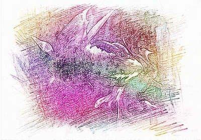 张盛舒生肖猪2025年11月运势