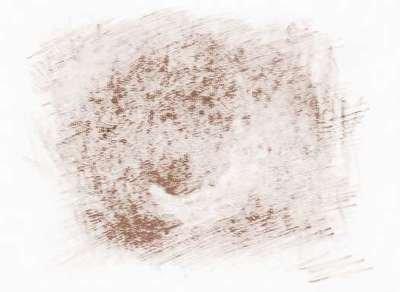 张盛舒生肖鸡2025年11月运势 张盛舒生肖鸡2025年11月运势