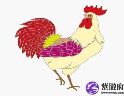 属鸡男人生气怎么哄 属鸡男人生气几天消