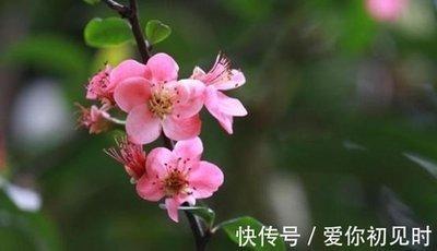 属鸡男分手后的表现 会后悔和你分手吗