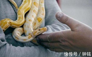 属鸡男和属蛇女的适合做夫妻吗 夫妻缘分怎么看