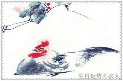 属鸡男最想娶的老婆是哪种类型 对老婆的要求一一揭晓