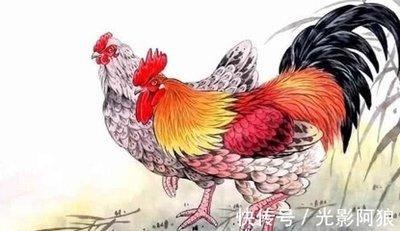 属鸡的人2025年财运解读：避免害太岁的影响