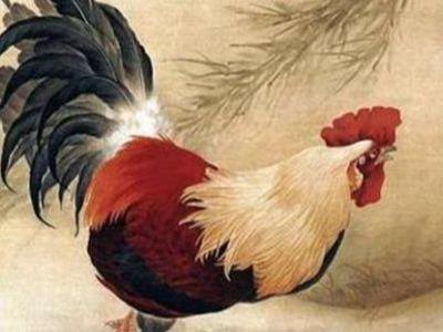 属鸡的人在2025年12月中的运势是好是坏