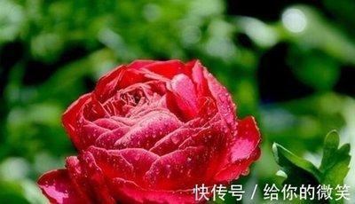 心地善良的人面相有什么表现 怎样的人心地最好