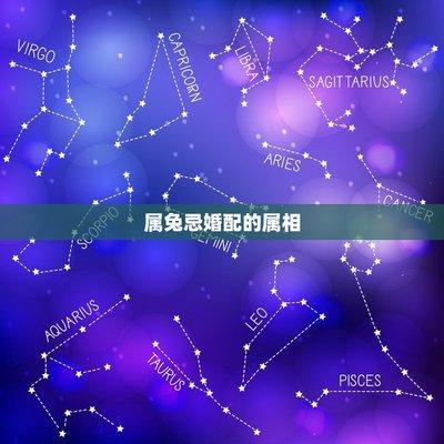 属鸡的人婚配属相最好是谁 婚配对象如何选择