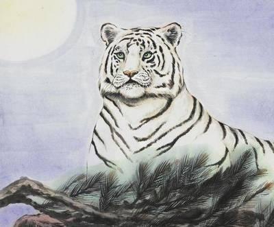 心态最好的生肖 整个人都充满正能量