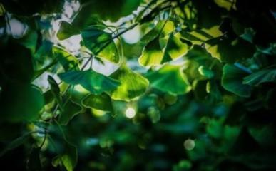 心最软的面相女 什么样的女人最容易心软 心最软的面相女 什么样的女人最容易心软