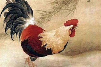 属鸡的出生年有哪些 什么年份出生的人属鸡