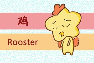 属鸡的年份与其命运及2025年运势有关吗
