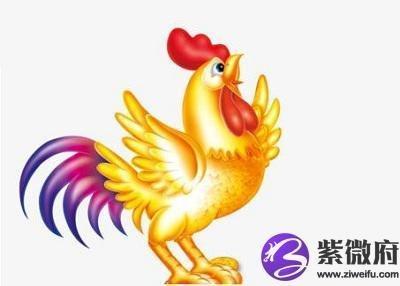属鸡的年份有哪些生肖鸡2025年运势如何
