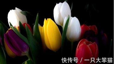 属鸡的忘不了前任吗 为什么不能放下旧爱