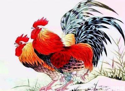 属鸡的是哪年出生 哪些年出生的人是属鸡的