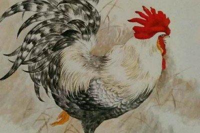 属鸡的犯克属相 遇上什么属相最倒霉
