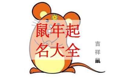 属鼠2025年财运如何 掌握理财技巧