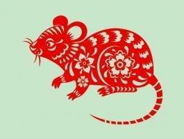 属鼠2025年运势运程 2025年属鼠的全年运势