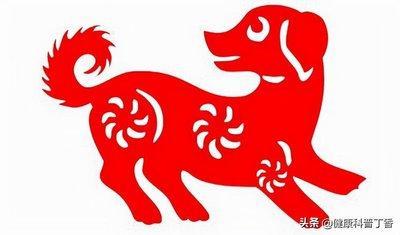 忠诚至极是什么生肖 最忠诚是哪几个生肖