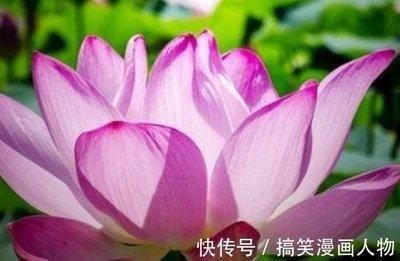 属鼠人2025年桃花运,2025属鼠的桃花位在哪