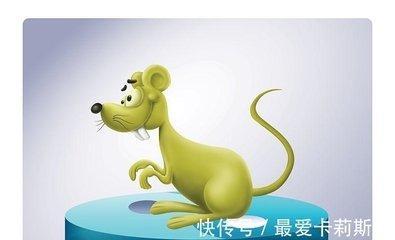 属鼠人在哪些年份中有好运 这些年运势最好