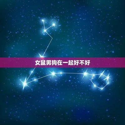 属鼠人所向往的生活 属鼠人的理想生活是什么样的