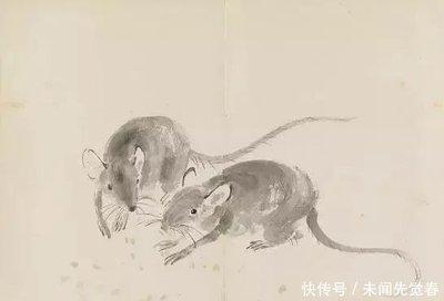 属鼠农历四月出生的人 和其他月份出生有什么不同