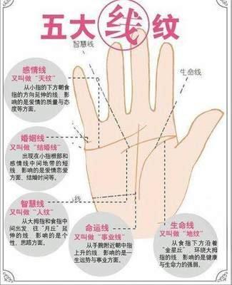 怎么从手相感情线看感情吉凶 通过感情线了解感情发展