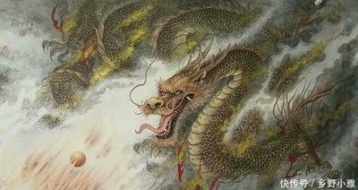 巳时出生人命运，巳时出生的人命好吗