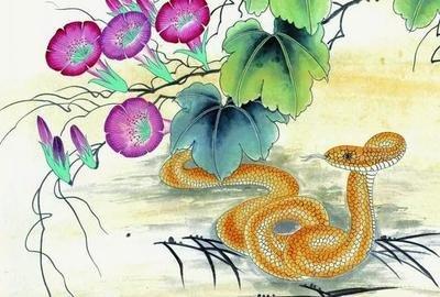 巳时出生的人运势大解析 巳时出生的人命运如何