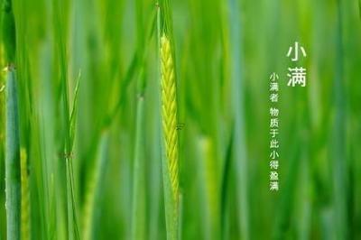 巳时出生的好不好 巳时出生的人命运分析