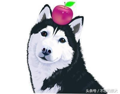 巳时属狗人的命运 属狗巳时生人怎么样